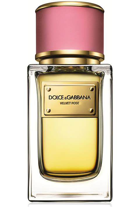 dolce and gabbana best perfume for her|best dolce and gabbana perfume for women.